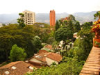 El Poblado Medellin Treetop view (99kb)