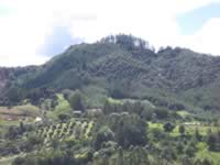 Retiro Pueblo Moutain Side - Medellin Pueblo Tour (550kb)